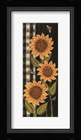 Farmhouse Sunflowers II Framed Print