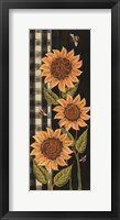 Farmhouse Sunflowers II Fine Art Print