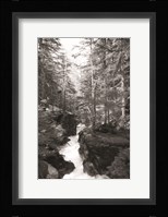 Avalanche Trail Fine Art Print