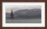 Adirondack Misty Morning Fine Art Print