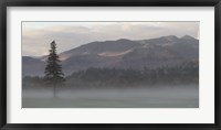 Adirondack Misty Morning Fine Art Print