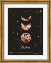 La Luna Moon Phases Fine Art Print
