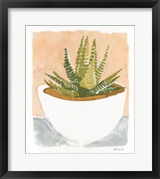 Cacti Bowl Fine Art Print
