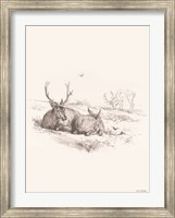 Reindeer Chilling Fine Art Print