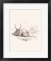Reindeer Chilling Fine Art Print