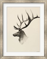 Mountain Reindeer Fine Art Print