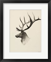 Mountain Reindeer Fine Art Print