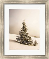 Pine Trees in the Snow Fine Art Print