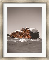 Logs in Snow Fine Art Print