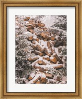 Winter Wood Pile Fine Art Print