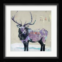 Winter Elk Fine Art Print