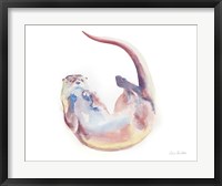 Swimming Otter II Fine Art Print
