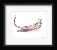 Swimming Otter I Framed Print