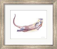 Swimming Otter I Fine Art Print