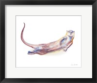 Swimming Otter I Framed Print