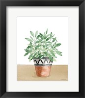 Herb Garden V White Fine Art Print