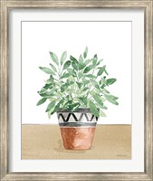 Herb Garden V White Fine Art Print