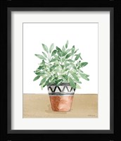 Herb Garden V White Framed Print