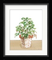 Herb Garden II White Fine Art Print