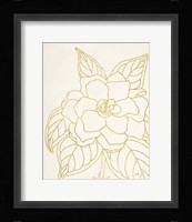 Gold Gardenia Line Drawing Crop Fine Art Print