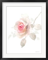 Gentle Rose II Fine Art Print