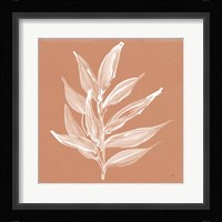 Leaf Study IV Pheasant Framed Print