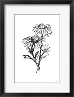 Line Echinacea III Framed Print