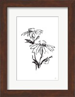 Line Echinacea II Fine Art Print
