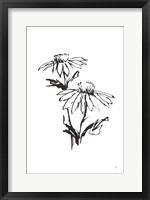 Line Echinacea II Fine Art Print