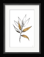 Leafed VI Framed Print