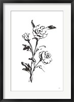 Line Ranunculus II Fine Art Print