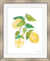 Summer Lemons I Fine Art Print