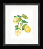 Summer Lemons I Framed Print