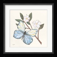 In the Garden Butterfly Framed Print