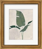 Palm Botanical II Fine Art Print