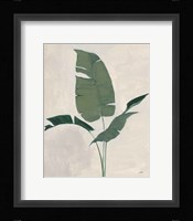 Palm Botanical II Framed Print