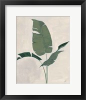 Palm Botanical II Framed Print