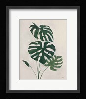 Palm Botanical I Framed Print