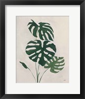 Palm Botanical I Framed Print