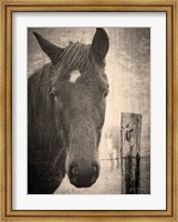 Heres Looking at You I Fine Art Print