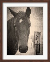 Heres Looking at You I Fine Art Print