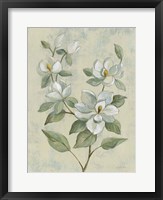 Sage Magnolia Fine Art Print
