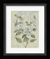Sage Magnolia Framed Print
