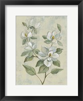 Sage Magnolia Fine Art Print
