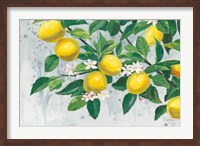 Zesty Lemons Fine Art Print