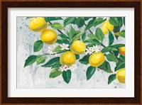 Zesty Lemons Fine Art Print