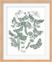Butterfly Bouquet IV Sage Fine Art Print