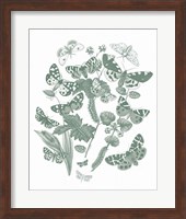 Butterfly Bouquet IV Sage Fine Art Print