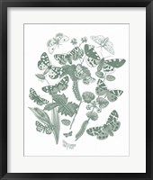 Butterfly Bouquet IV Sage Framed Print