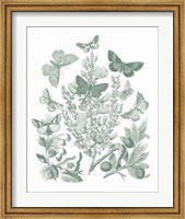 Butterfly Bouquet II Sage Fine Art Print
